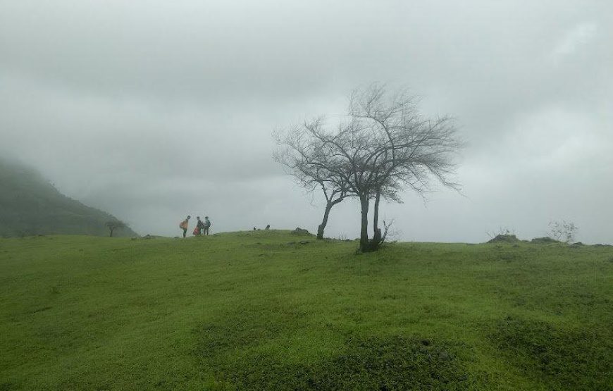 Monsoon Trek To Garbett Plateau