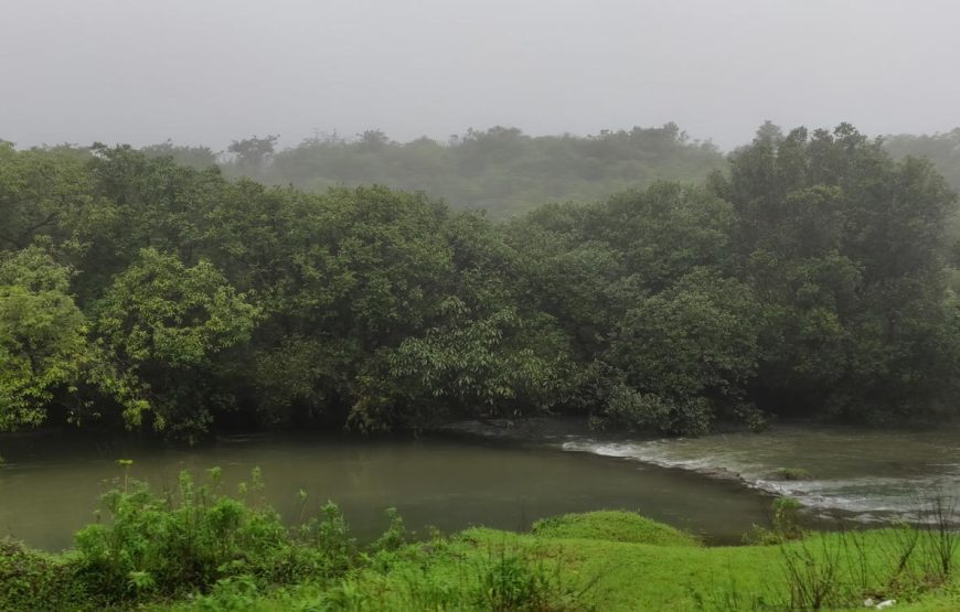 Amboli Ghat Monsoon Trip