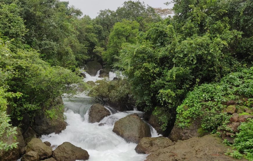 Amboli Ghat Monsoon Trip