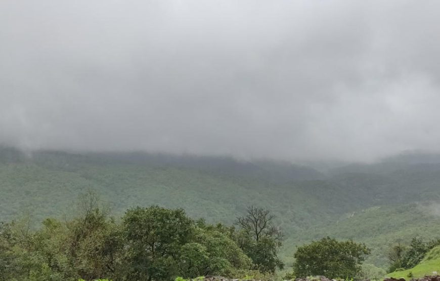 Amboli Ghat Monsoon Trip