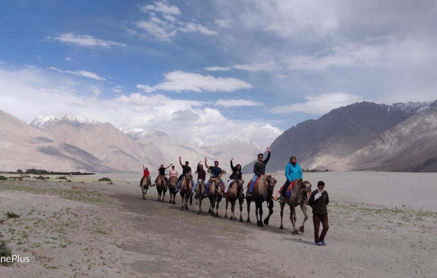 Leh Ladakh Srinagar Tour (Leh to Srinagar)