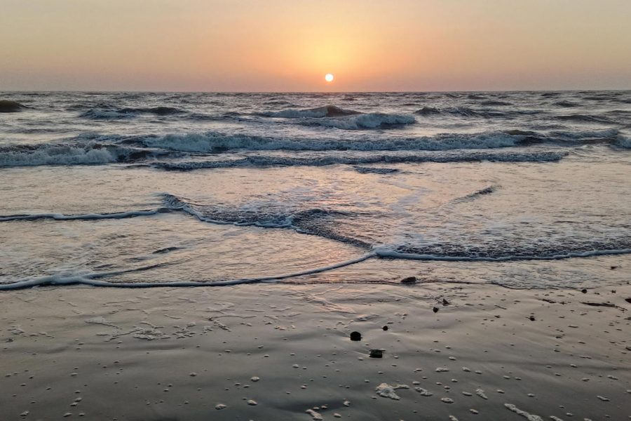 Velas Turtle Festival Tour 2026 From Mumbai