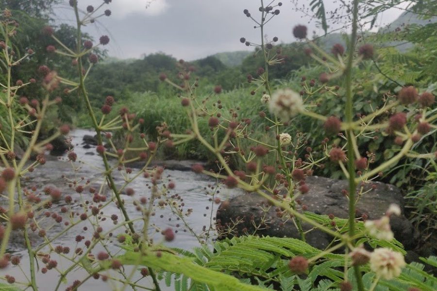 Tahuli Peak Trek