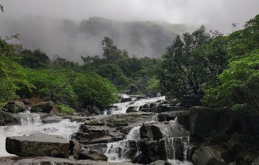 Aadrai Jungle Trek from Mumbai