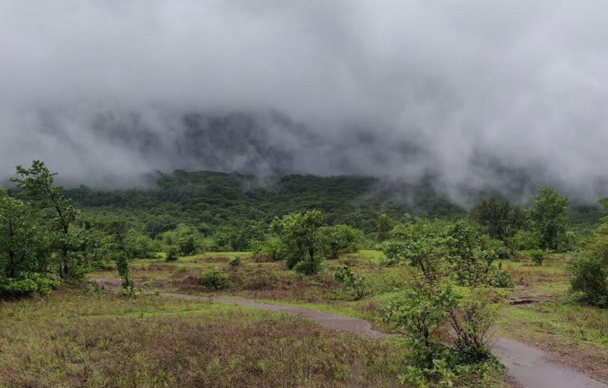 Andharban Jungle Trek | Andharban Trek 2025
