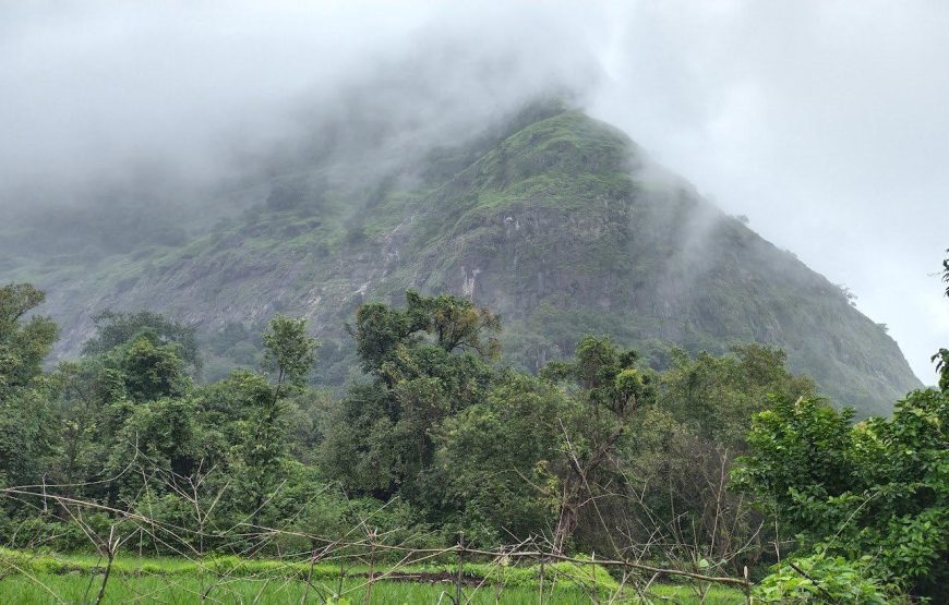 Nanemachi Waterfall Trek
