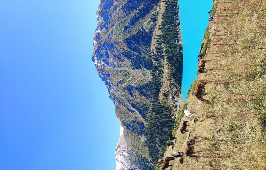 Almaty Tour from Mumbai