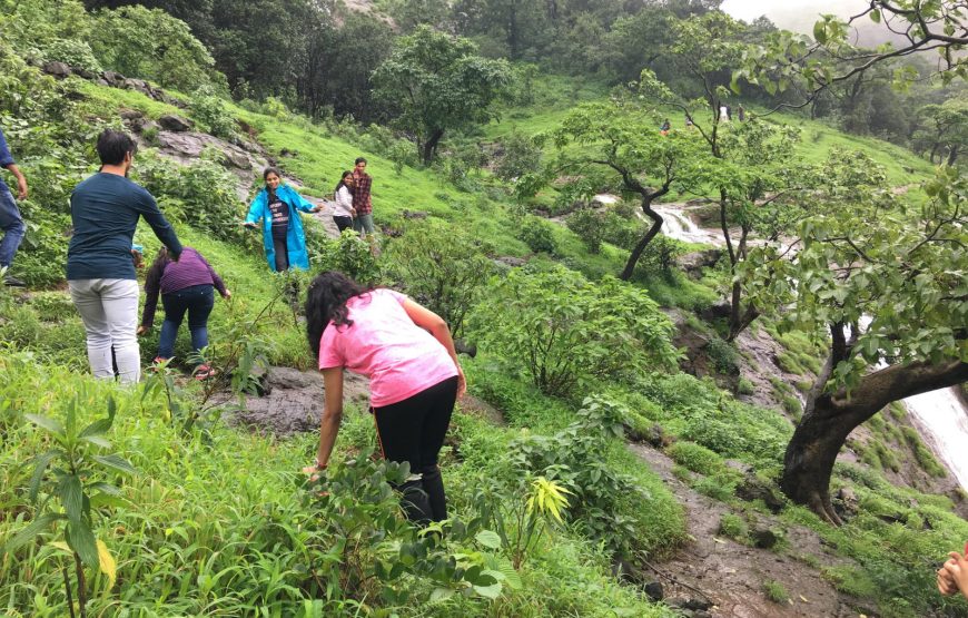 Waterfall Rappelling Near Malshej