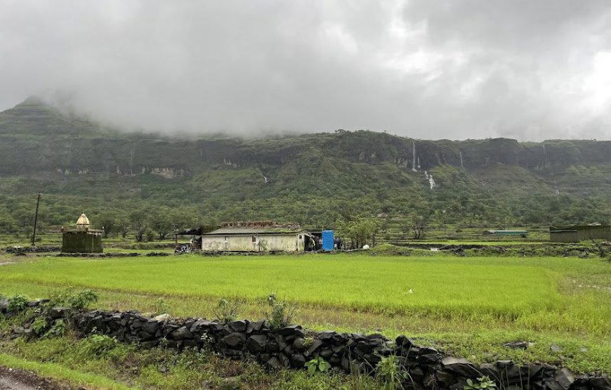 Aadrai Jungle Trek from Mumbai