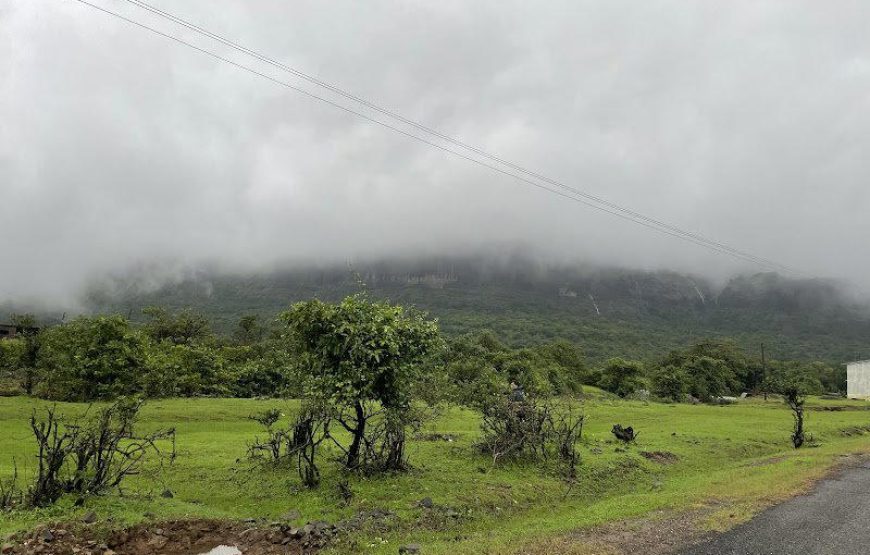 Aadrai Jungle Trek from Mumbai