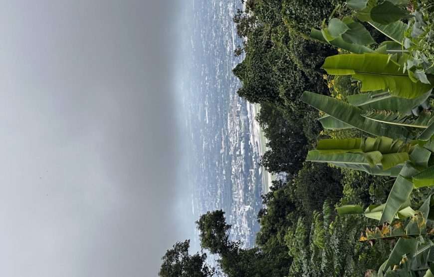 Offbeat Thailand: Chiang Mai & Chiang Rai Escape