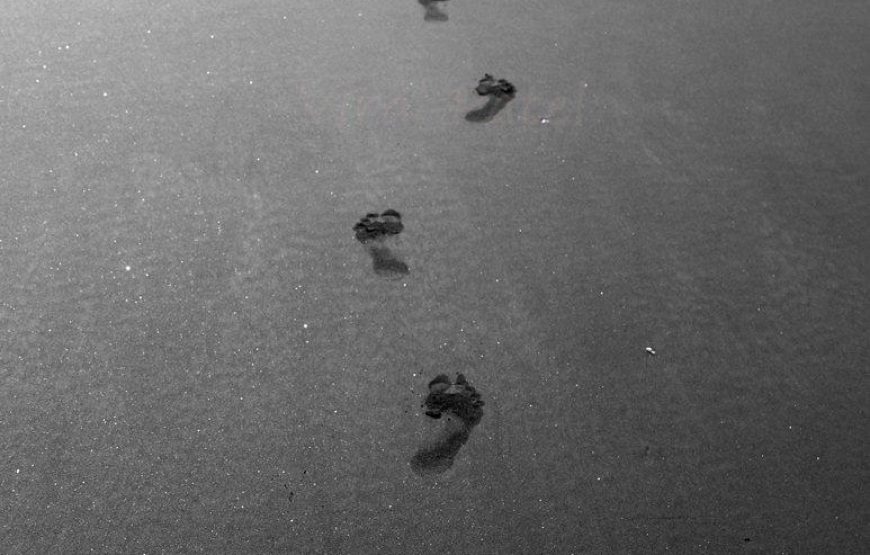 Velas Turtle Festival Tour 2026 From Mumbai