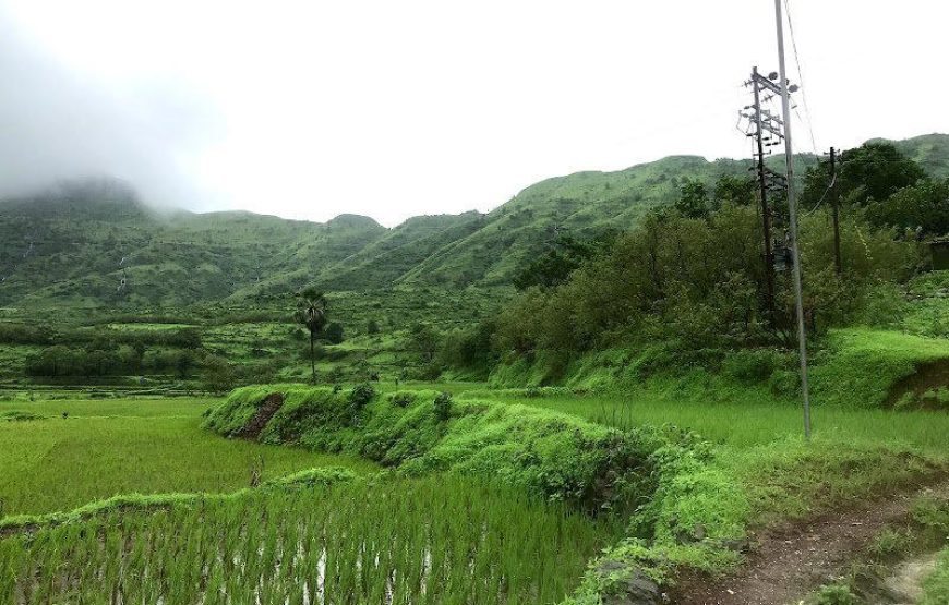 Monsoon Trek To Garbett Plateau