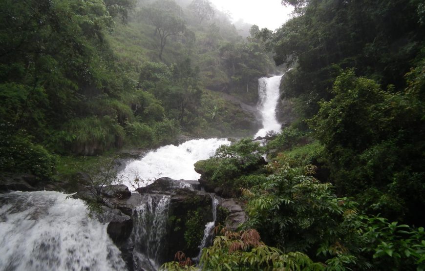 Wayanad Green Paradise Tour