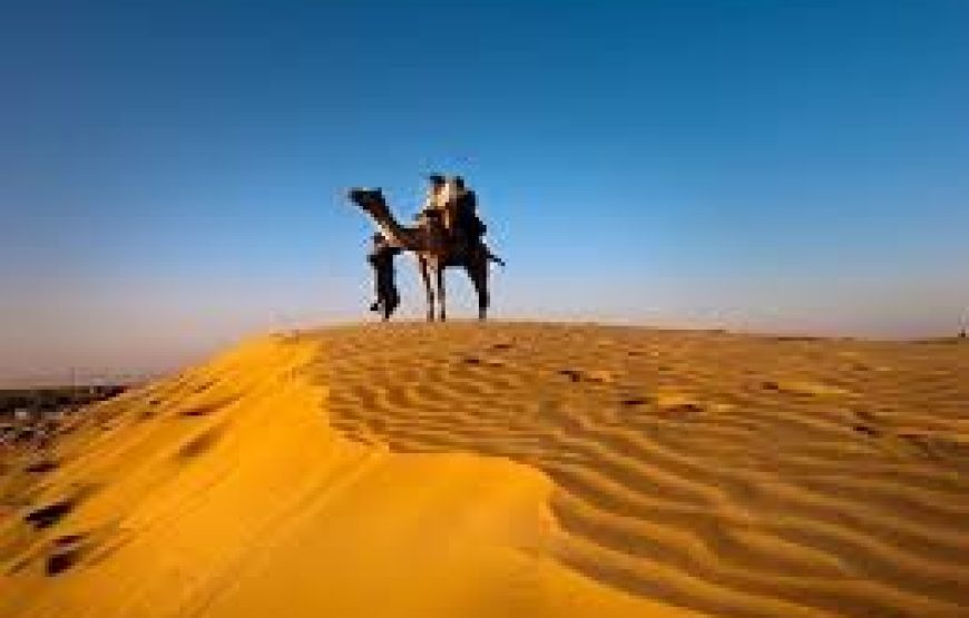 New Year Special – Rajasthan Tour