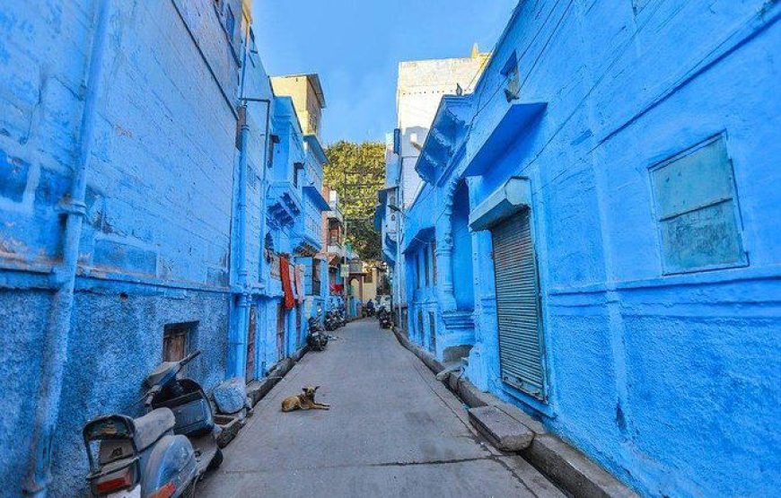 New Year Special – Rajasthan Tour