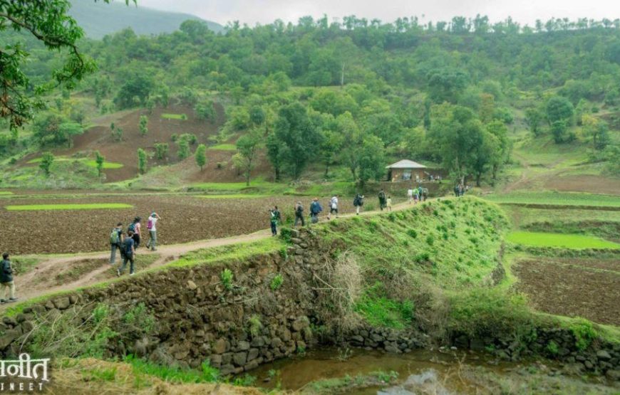 Kalsubai Monsoon Trek from Pune