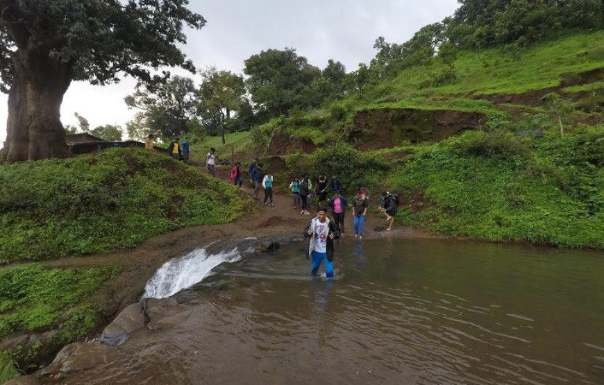 Kalsubai Monsoon Trek from Pune