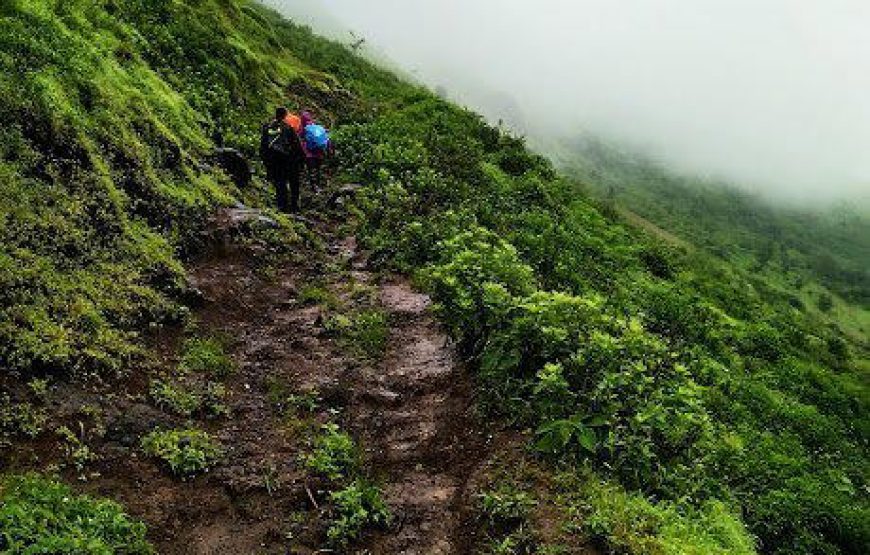 Kavnai Flower Special Trek