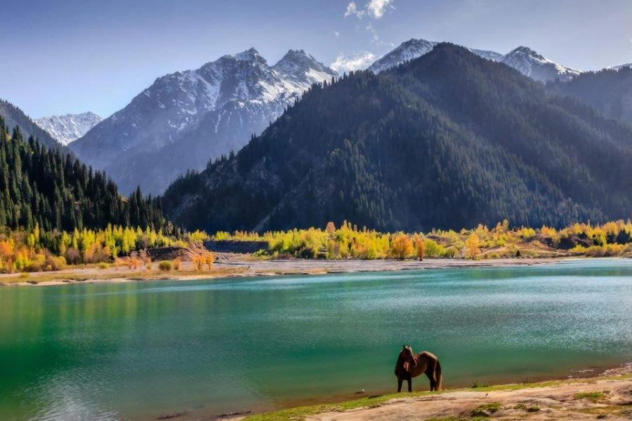 Almaty Tour from Mumbai