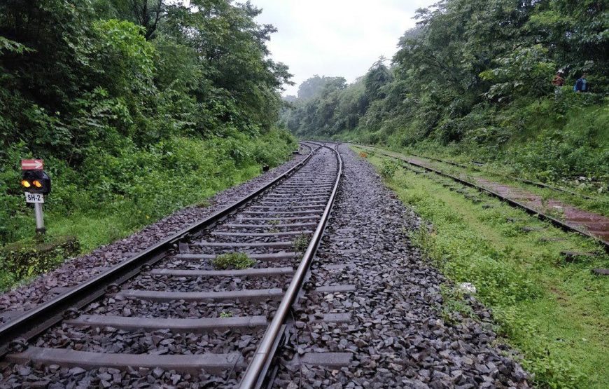 Dudhsagar Waterfall and Tambdi Surla Waterfall Trek