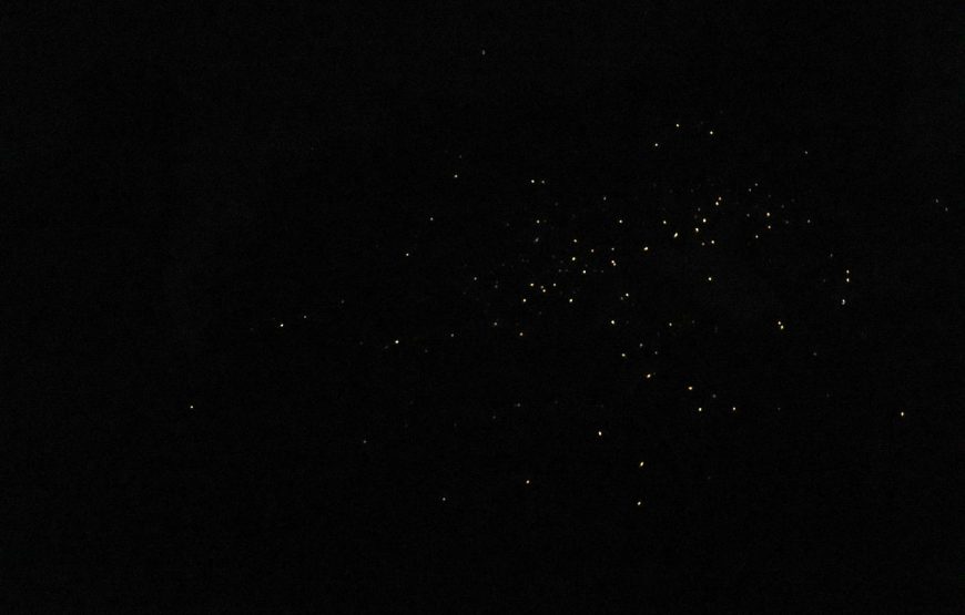 Purushwadi Fireflies Festival 2026