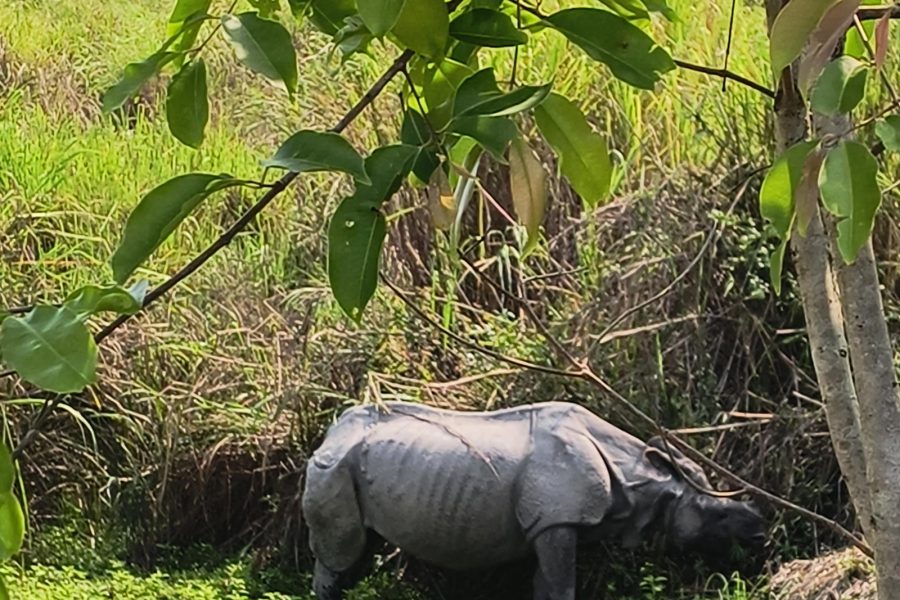 Meghalaya with Kaziranga Tour Package From Mumbai