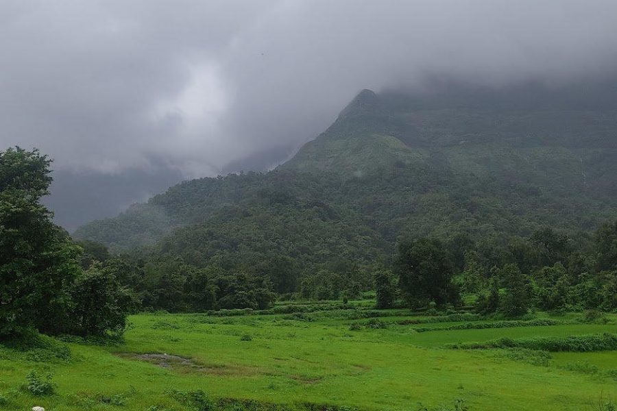 One Day Tour to Malshej Ghat and Junnar