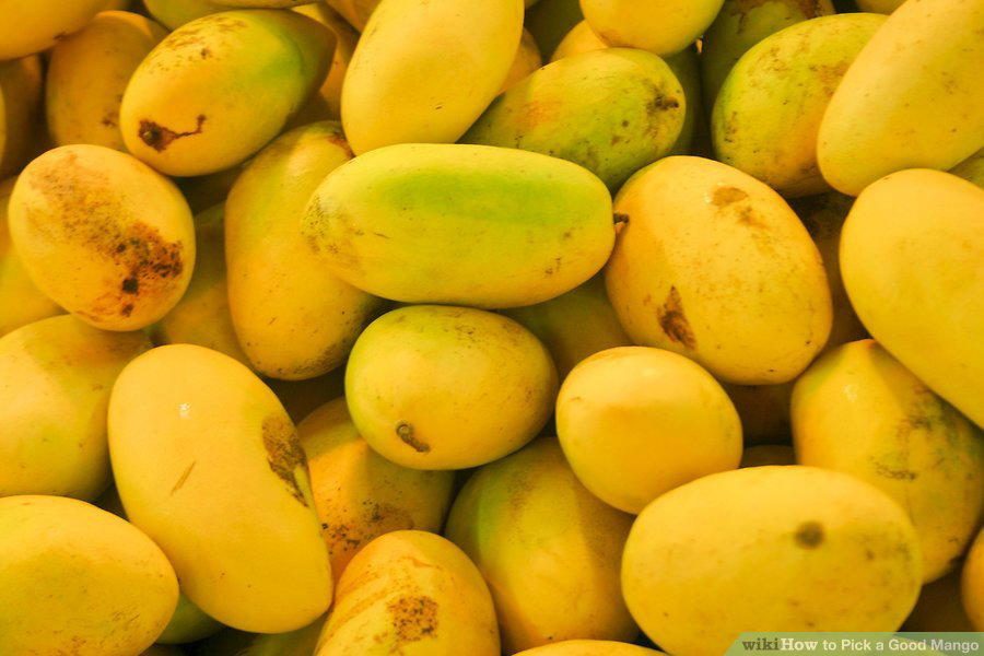 Mango Festival Tour