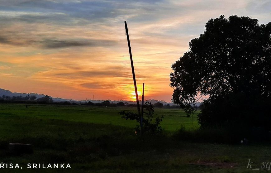 Sri Lanka Backpacking Tour From Mumbai