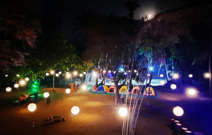 New Year Beach Camping