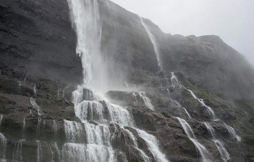 Aadrai Jungle Trek from Mumbai