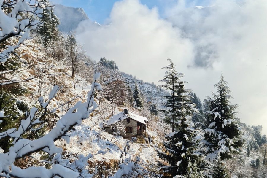 Camp Dharamshala