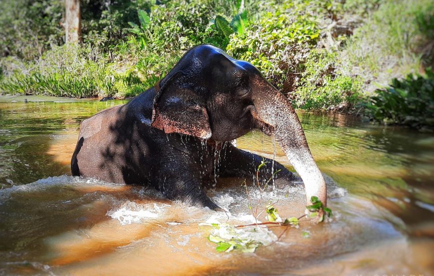 Sri Lanka Backpacking Tour