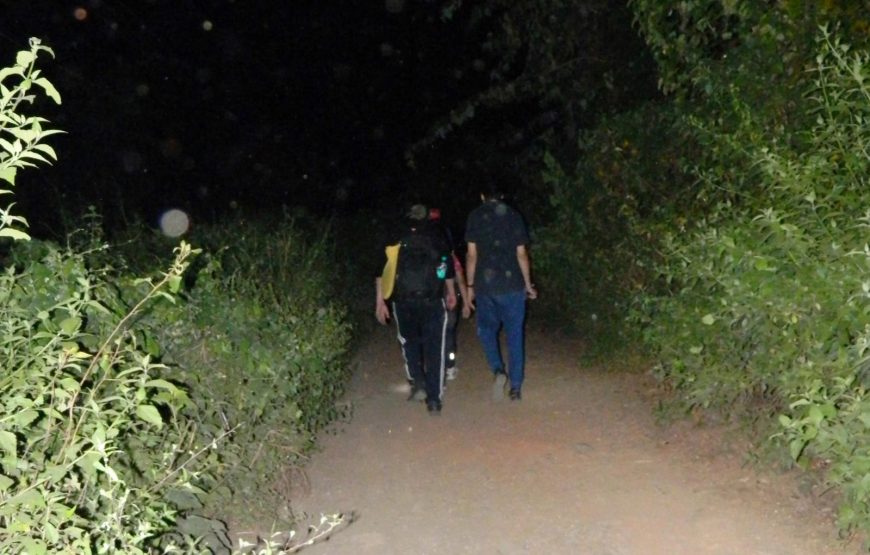 Prabalmachi Fireflies Special Trek & Camping