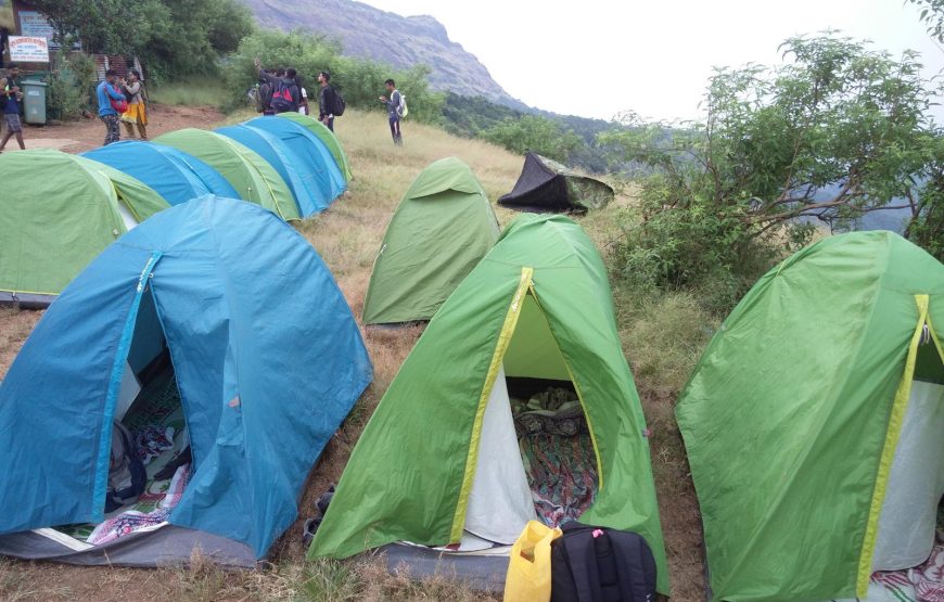 Prabalmachi Fireflies Special Trek & Camping