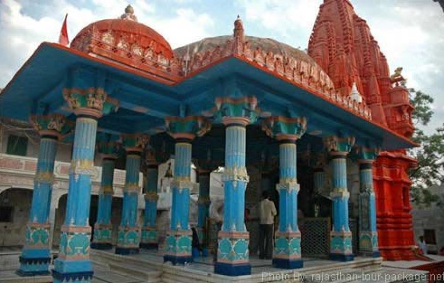Pushkar Holi Special Tour 2026
