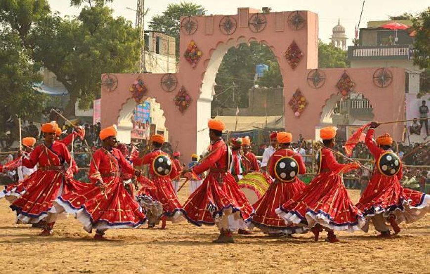 Pushkar Holi Special Tour 2026