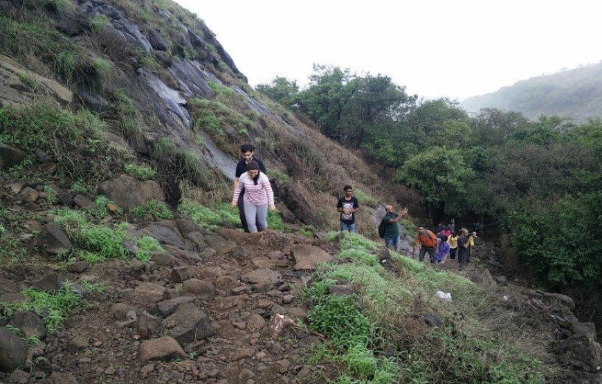 Rajmachi Fireflies Special Trek From Pune