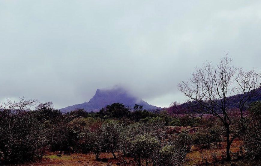 Rajmachi Fireflies Special Trek From Pune