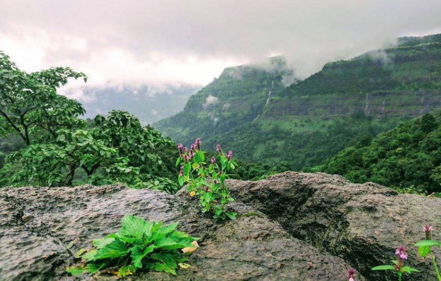 Rajmachi & Kondane Caves Monsoon Trek