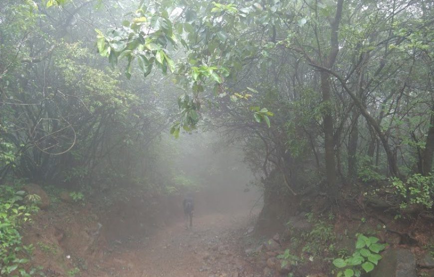 Rajmachi & Kondane Caves Monsoon Trek