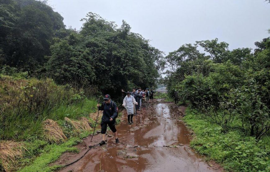 Rajmachi & Kondane Caves Monsoon Trek