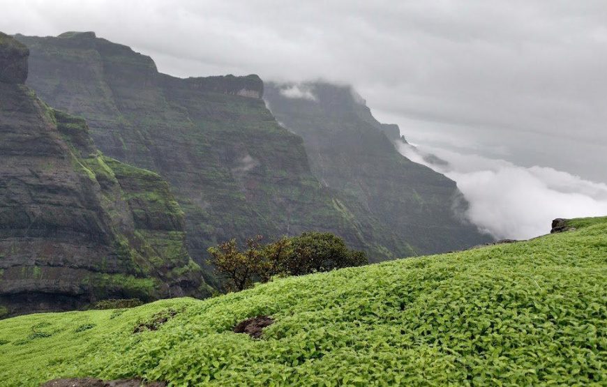 Ratangad Night Trek