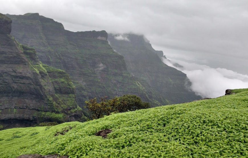 Ratangad Flower Special Trek