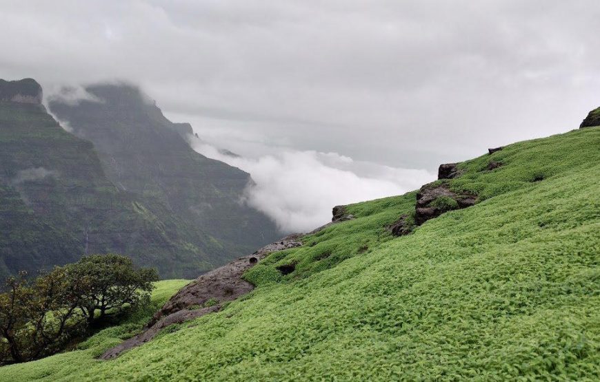 Ratangad Night Trek