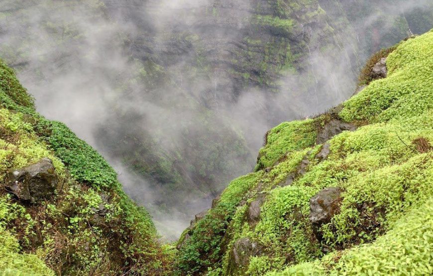 Ratangad Flower Special Trek