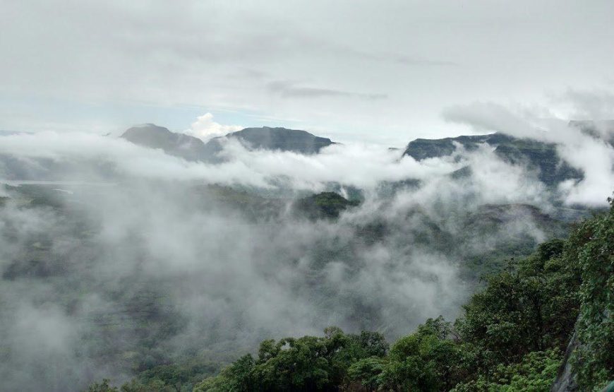 Ratangad Flower Special Trek