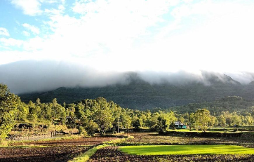 Ratangad Night Trek