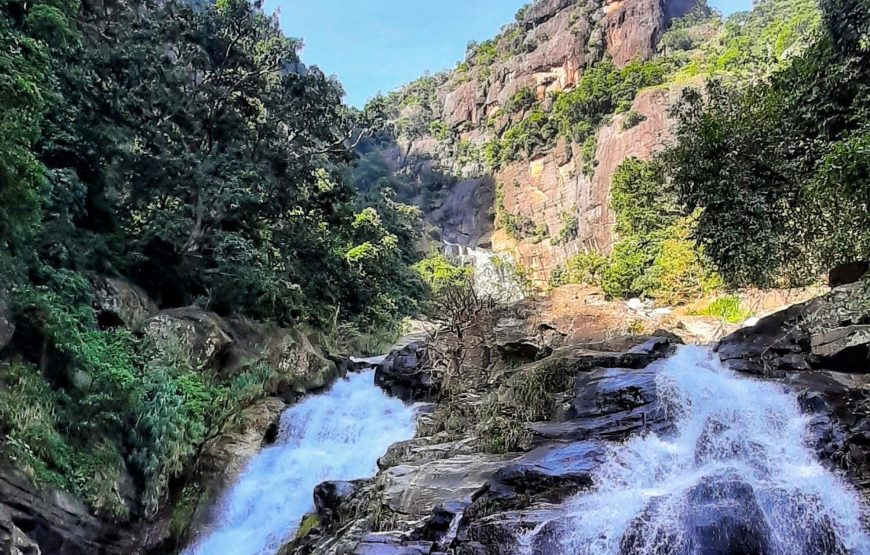 Sri Lanka – New Year Special Tour